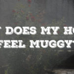 humidity